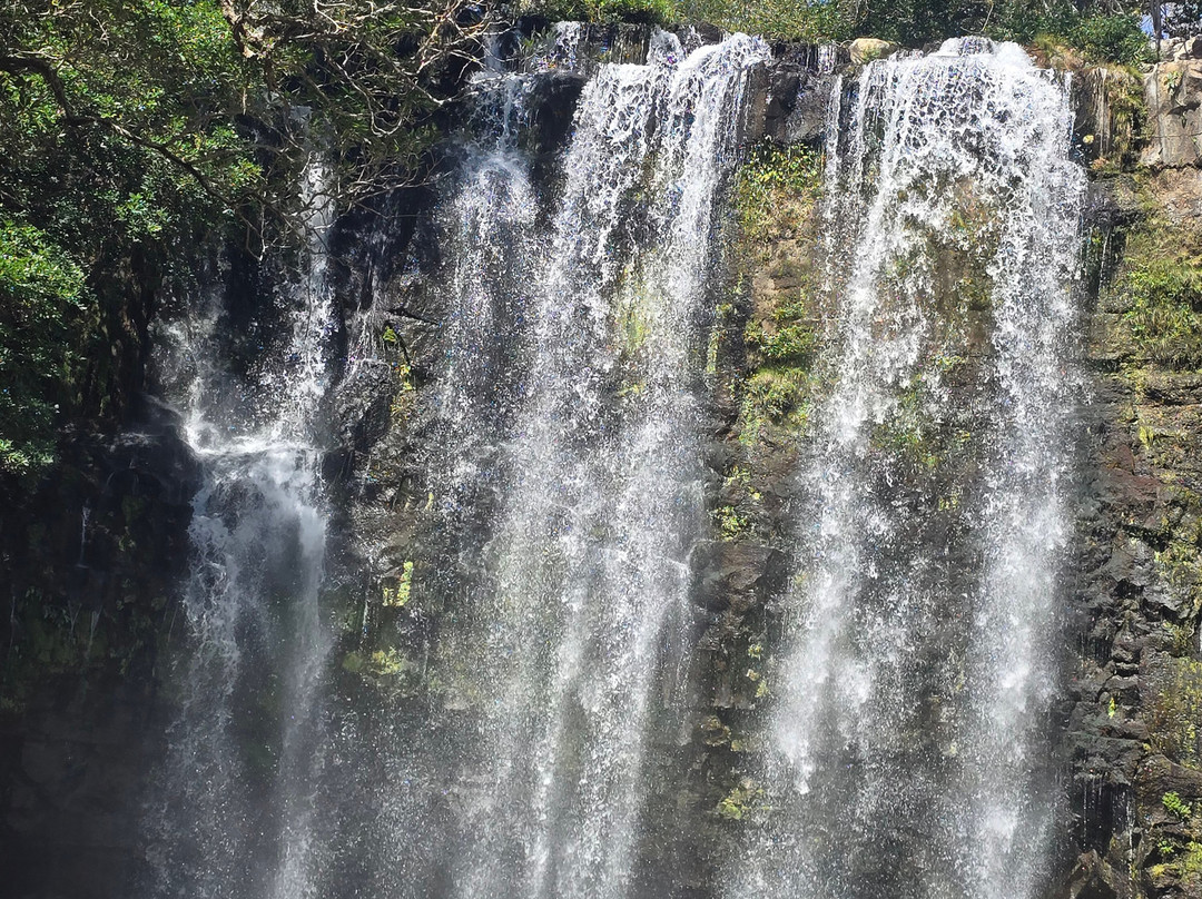 Memo Adventures Pura Vida In Costa Rica-Playas del Coco必去景点