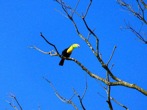 特诺里奥旅舍主图