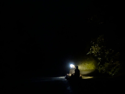 Orange Travel Suriname-帕拉马里博必去景点