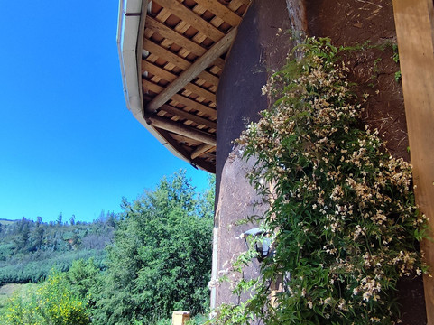 Mingaco-Coelemu必去景点