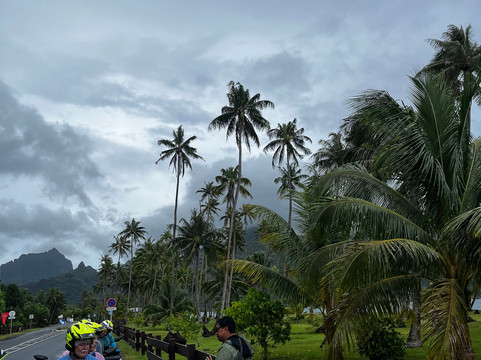 Moorea Island Tours-Temae必去景点