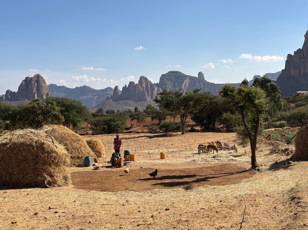 Danakil Gheralta Tour and Travel