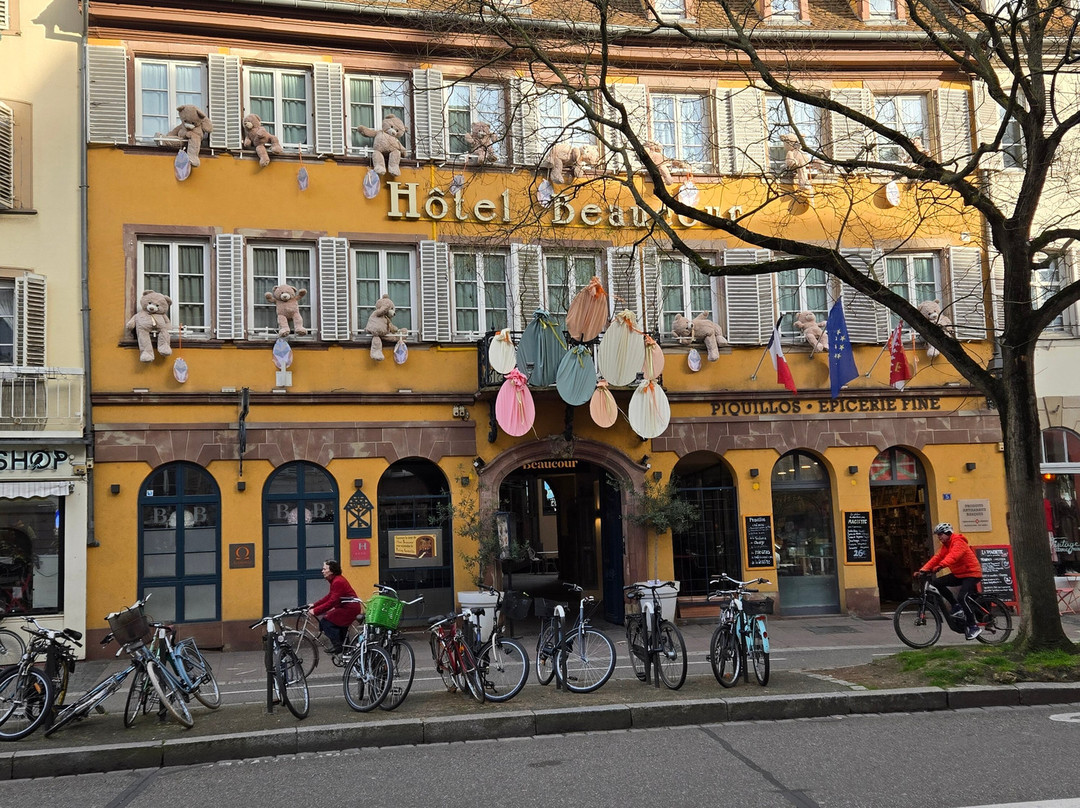 宝库尔酒店主图