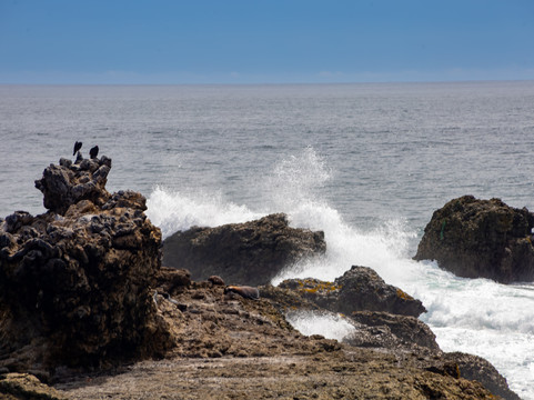 La Lobería-萨利纳斯必去景点