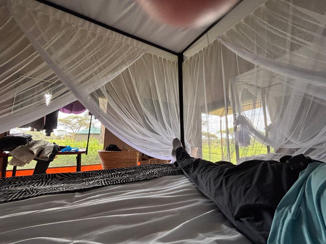 Serengeti Classic View Migration Camp - Ndutu