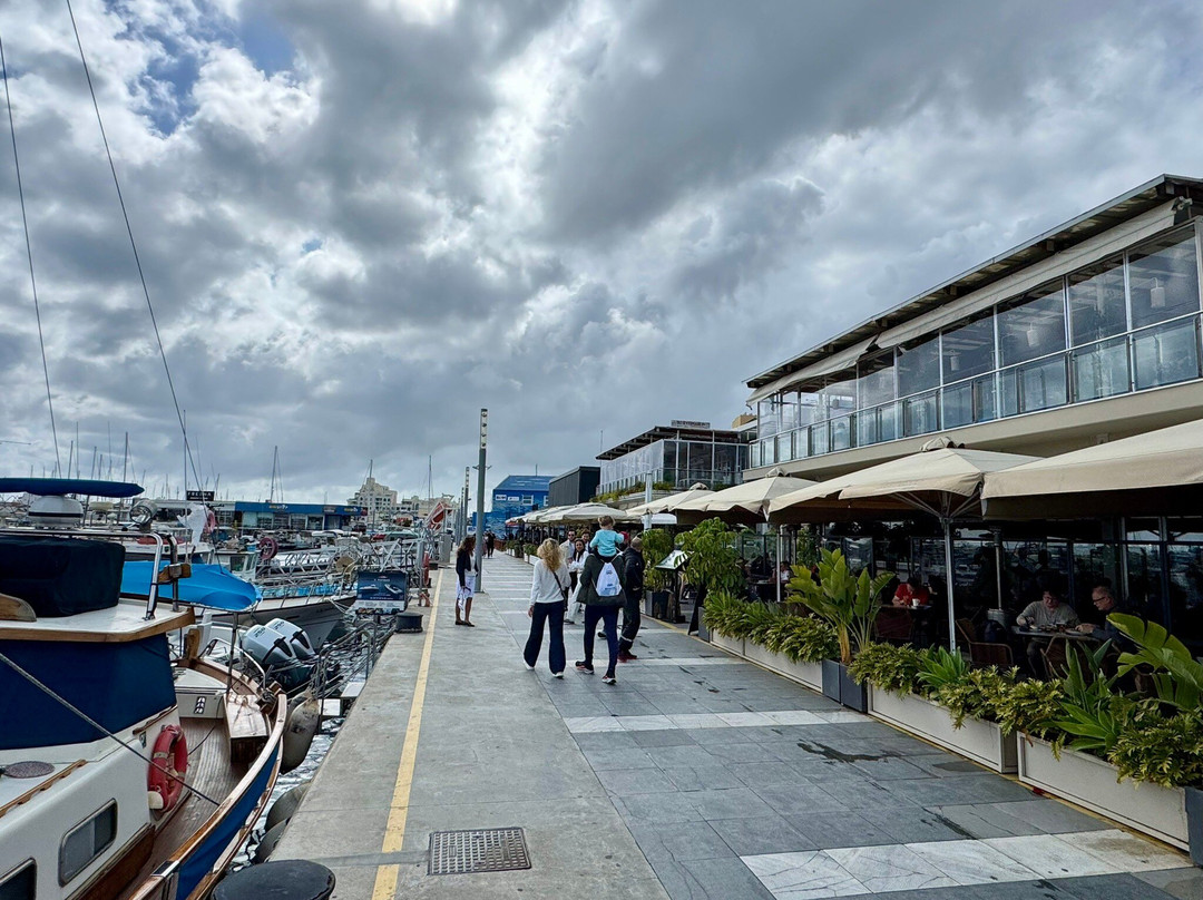 Limassol Marina-利马索尔必去景点