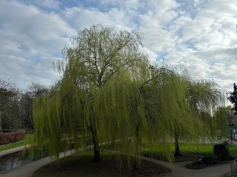 Rowntree Park-约克必去景点