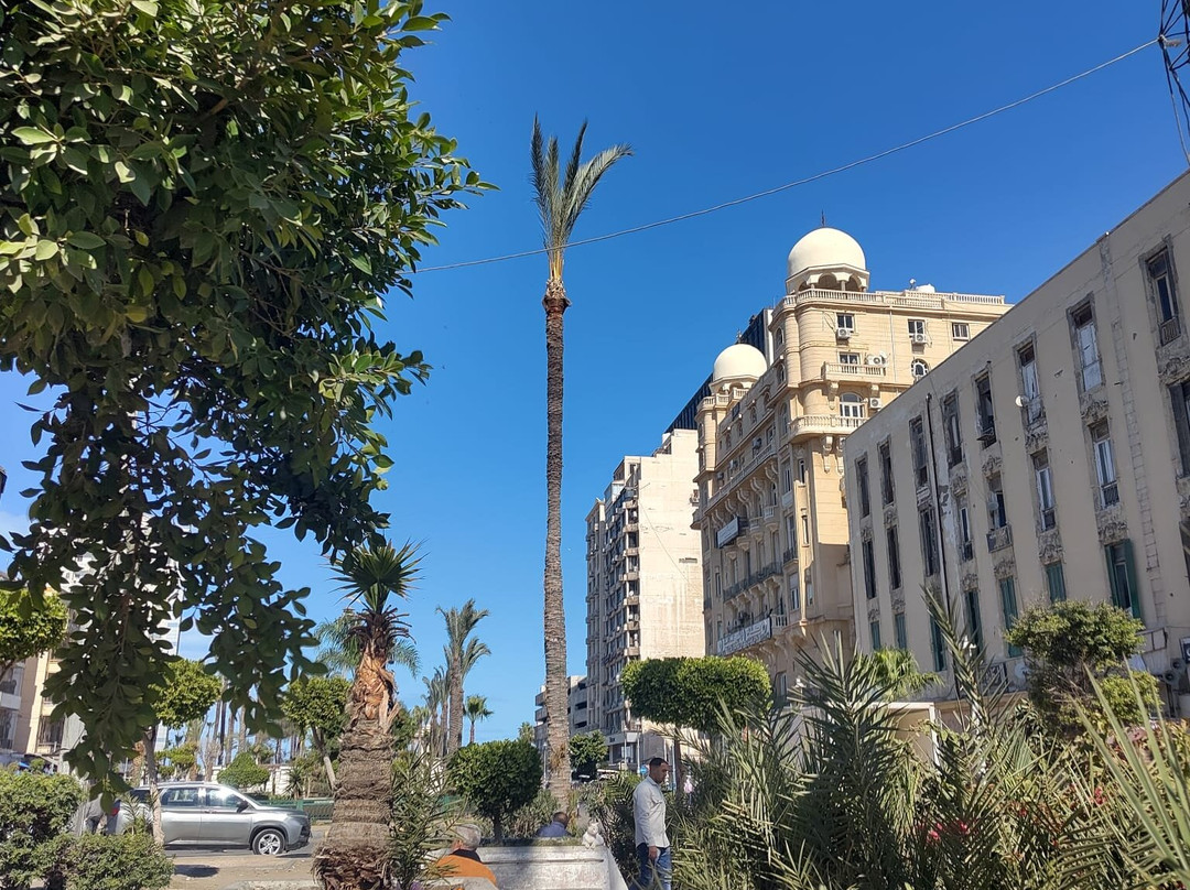 Beluga Sharm-沙姆沙伊赫必去景点