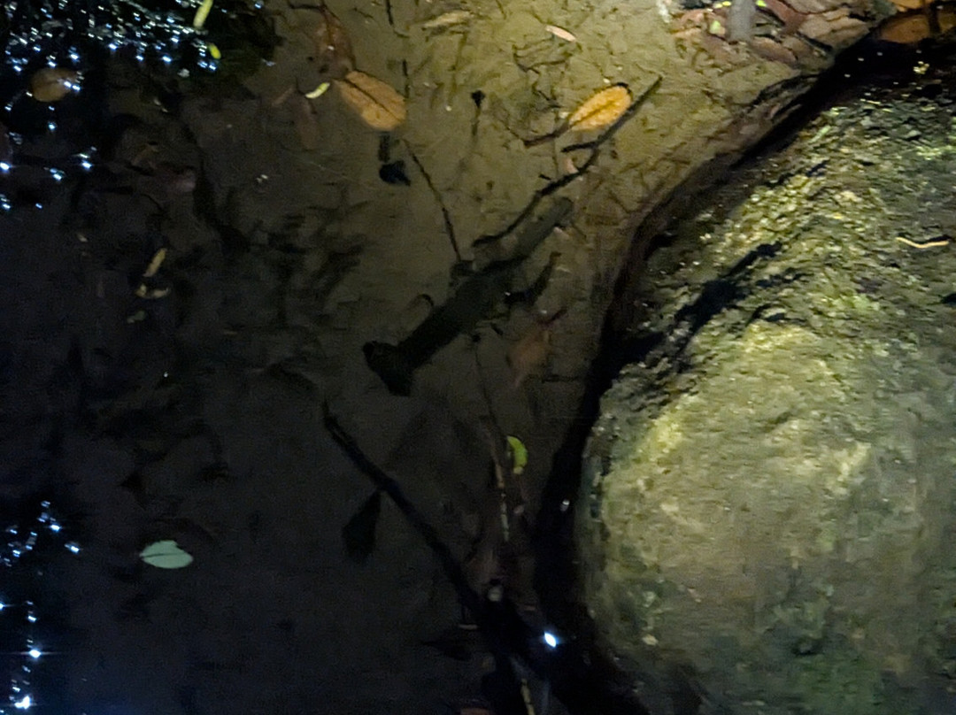 Adventure Puketi-Okaihau必去景点