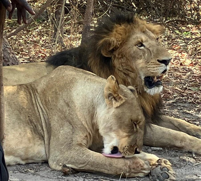 Soleil Casamance-开普史基林必去景点