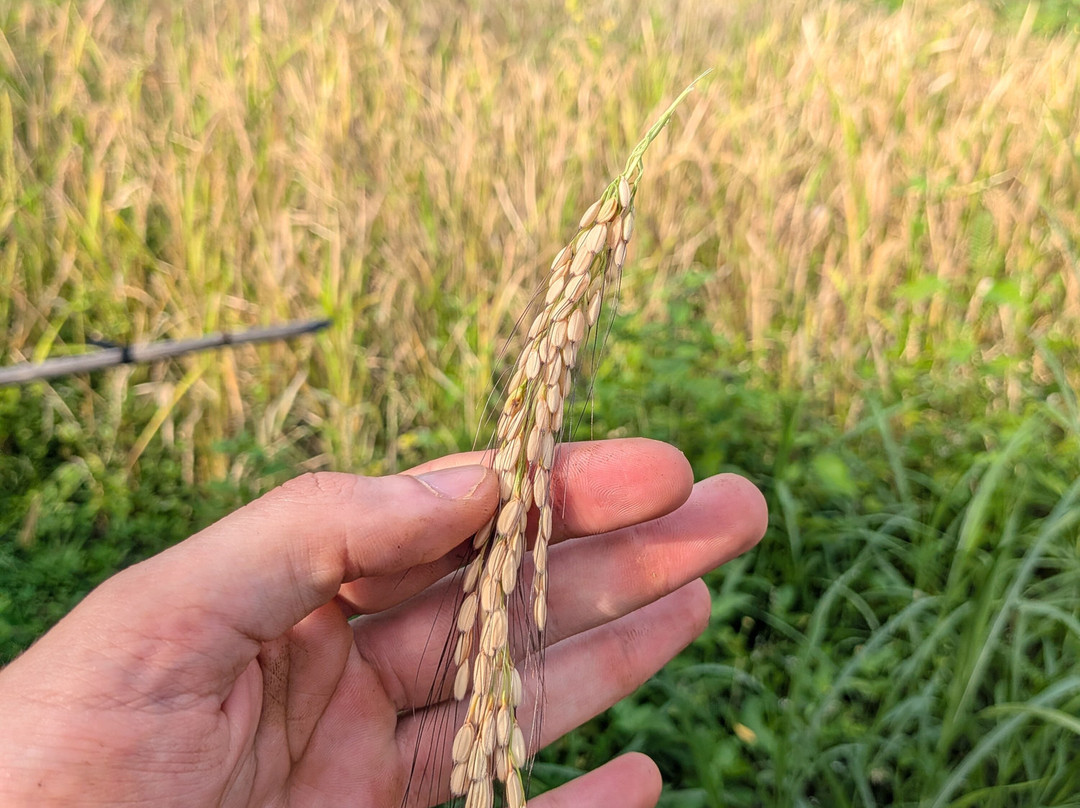 Monkey Cave Lombok-Pujut必去景点