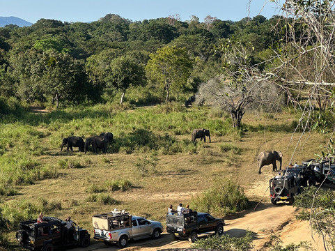 Kavi Jeep Safari-锡吉里亚必去景点