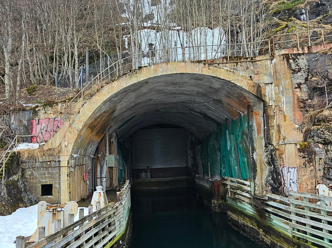 特罗姆瑟峡湾-特罗姆瑟必去景点