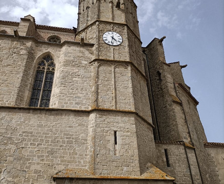 Collégiale Saint-Vincent-Montreal必去景点