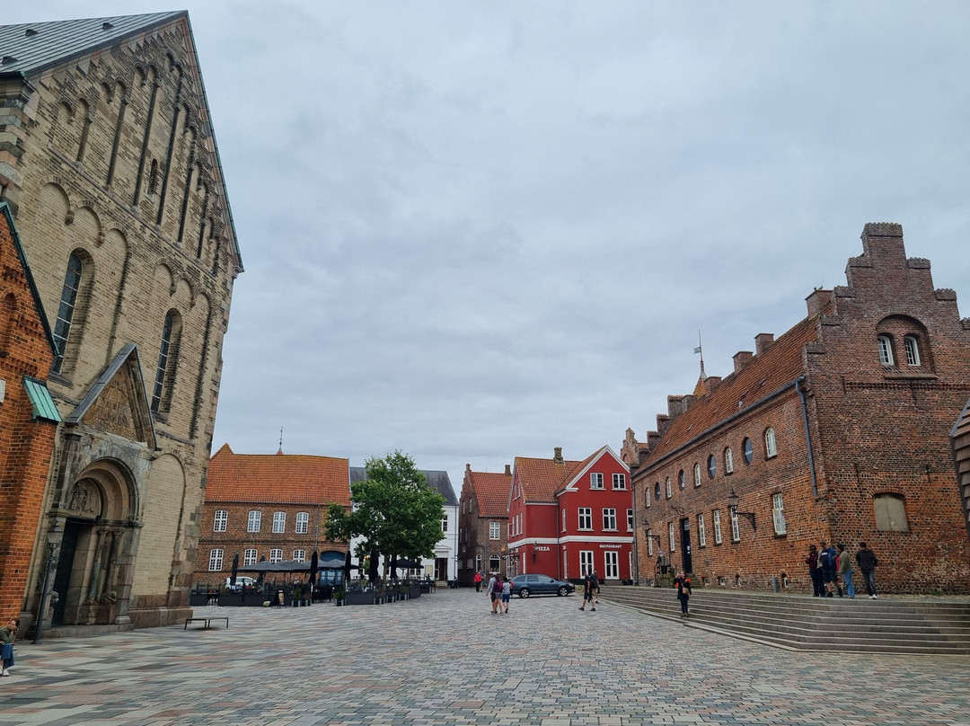 VisitRibe-里伯必去景点