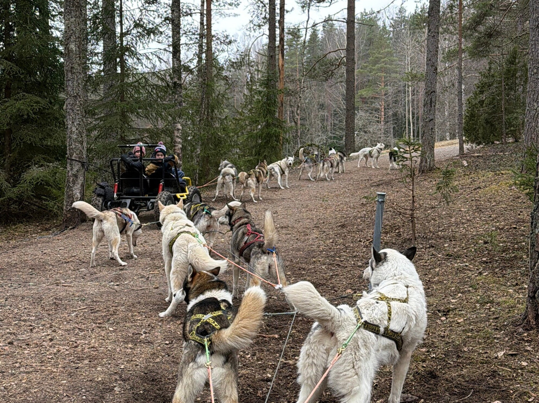 Arctic Expedition-埃斯波必去景点
