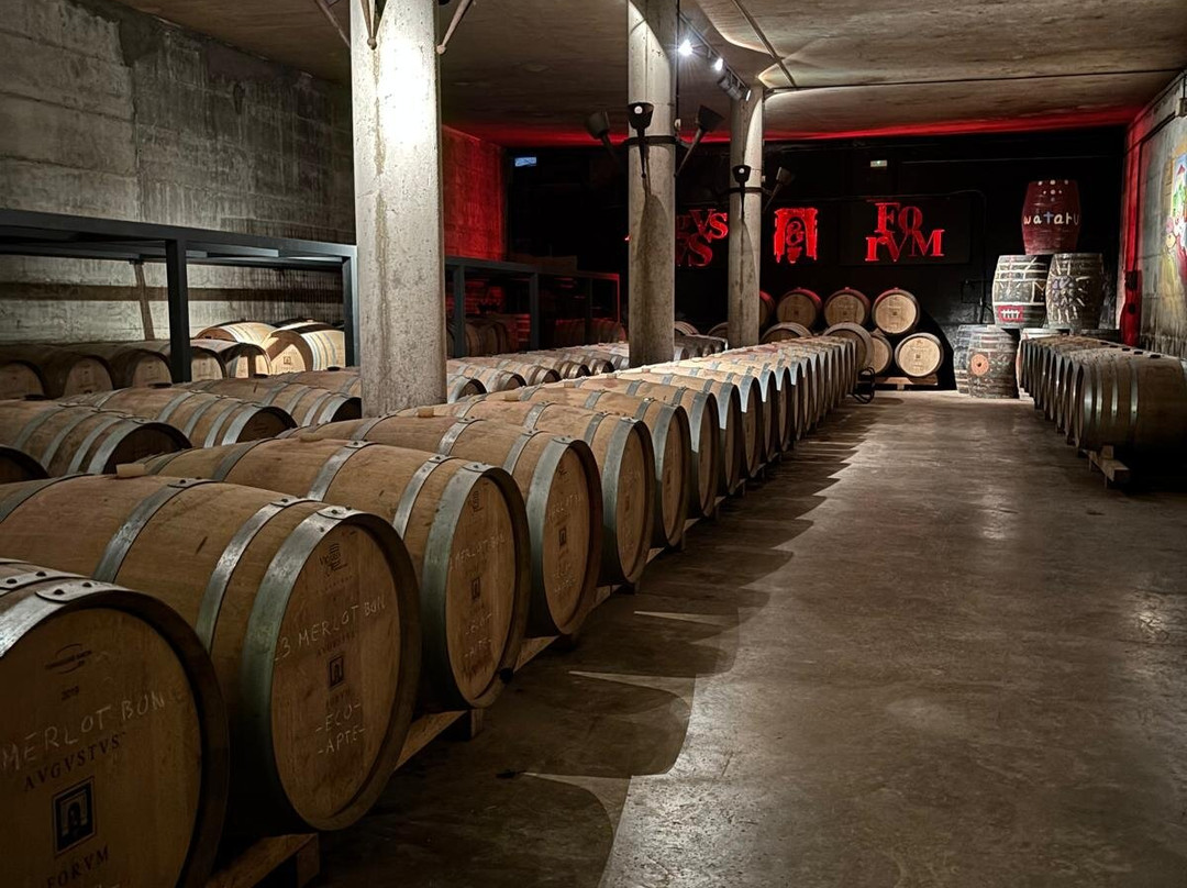 Cellers Avgvstvs Forvm-El Vendrell必去景点