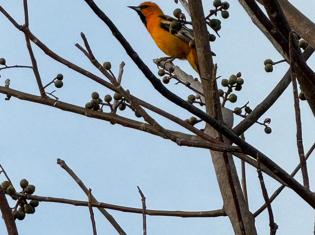 Sweet Retreats Casa Chango-埃斯孔迪多港必去景点