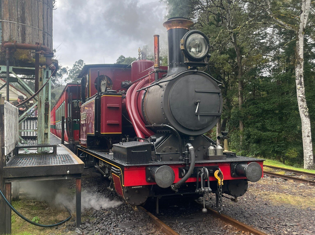 West Coast Wilderness Railway-皇后镇必去景点