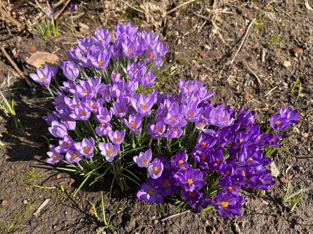 Temple of the Lord's Entrance to Jerusalem-Vereya必去景点