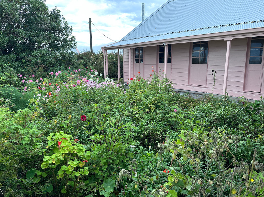 Fyffe House-Kaikoura必去景点