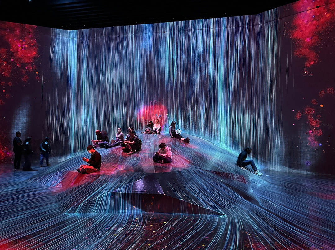 Teamlab Borderless Tokyo-港区必去景点