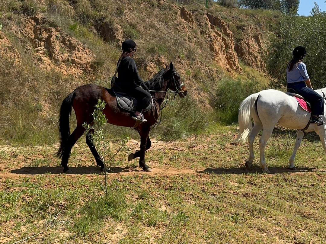 Zinebledi Horse Riding Club-苏塞必去景点