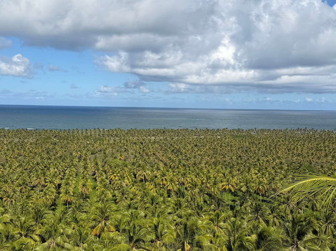 Aventura Eco Brasil-Barra de Sao Miguel必去景点