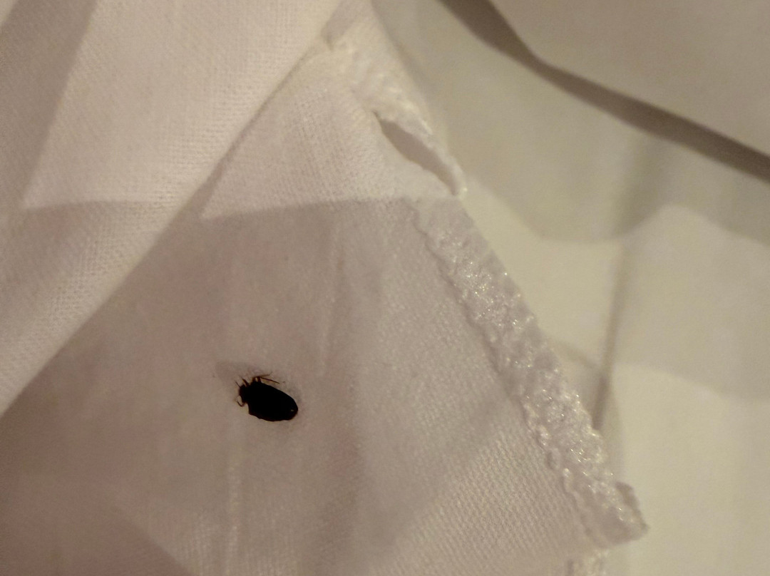 泰晤士河畔沃尔顿旅客之家酒店主图