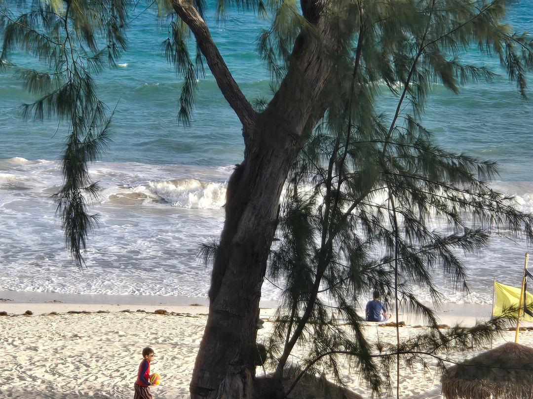 巴巴多斯三角梅酒店主图