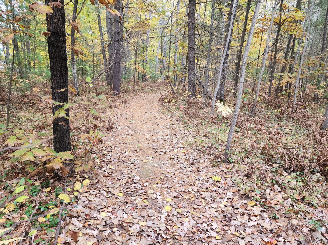Hankerd's Horseshoe Lake Campground