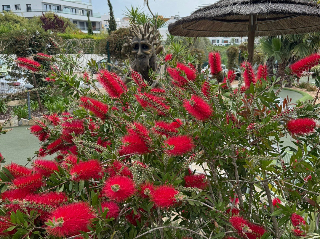 Eden Alvor-阿沃必去景点