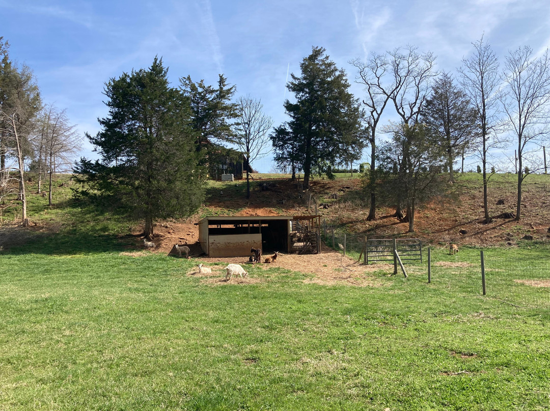 Afton Mountain Vineyards-Afton必去景点