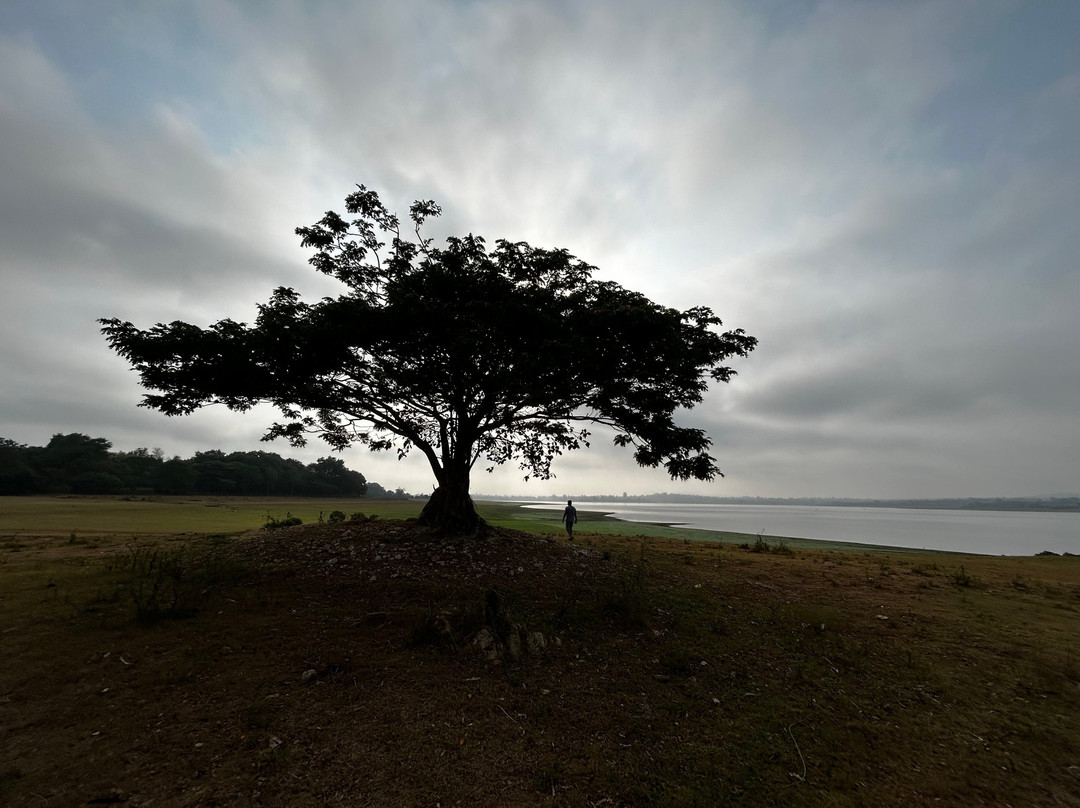 卡比尼塞莱旅馆主图