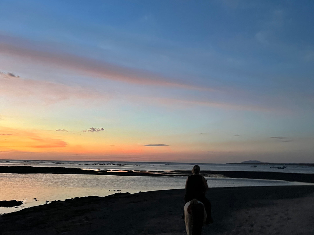 Guti Tours-Playa Avellanas必去景点