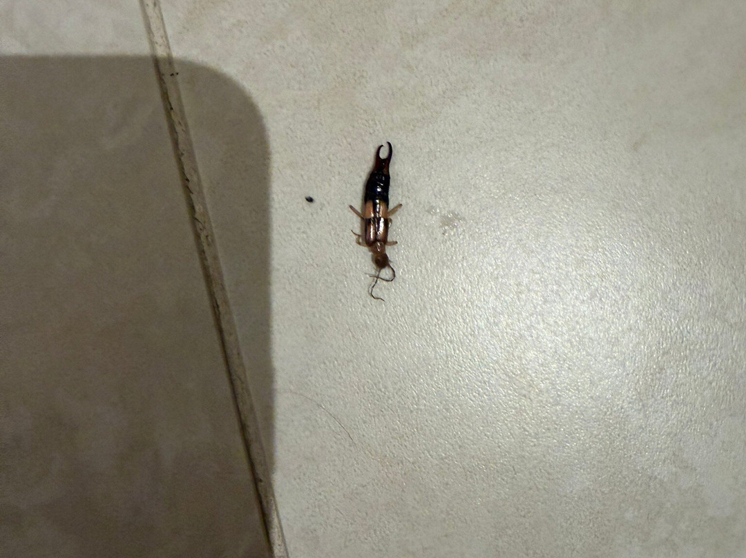 亚喀巴艾拉凯悦酒店主图