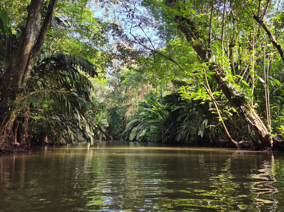 Bella Aventura Costa Rica-Santo Domingo de Heredia必去景点