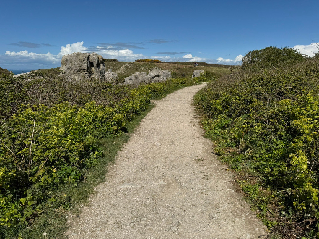 Tout Quarry Sculpture Park and Nature Reserve-Isle of Portland必去景点