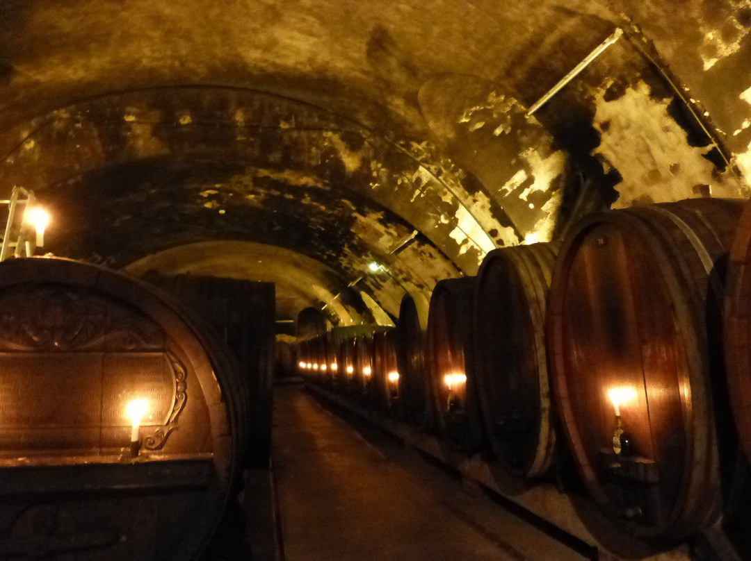 维尔茨堡宫-维尔茨堡必去景点