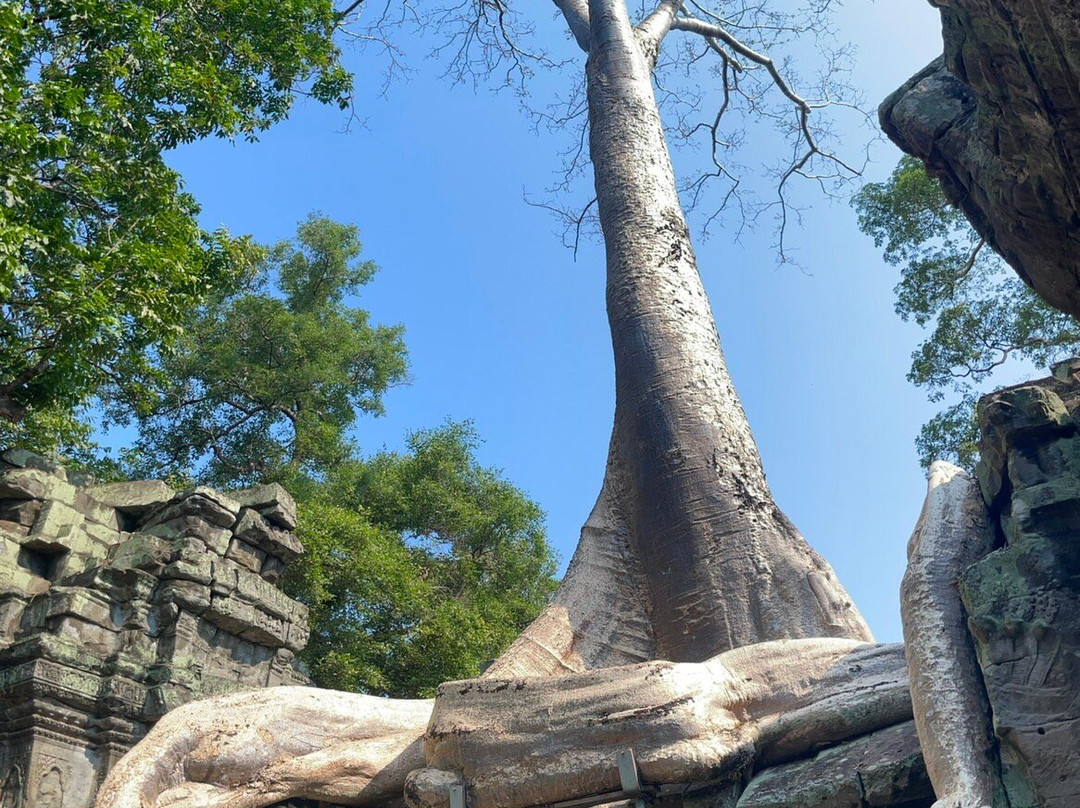 金庙精品酒店主图