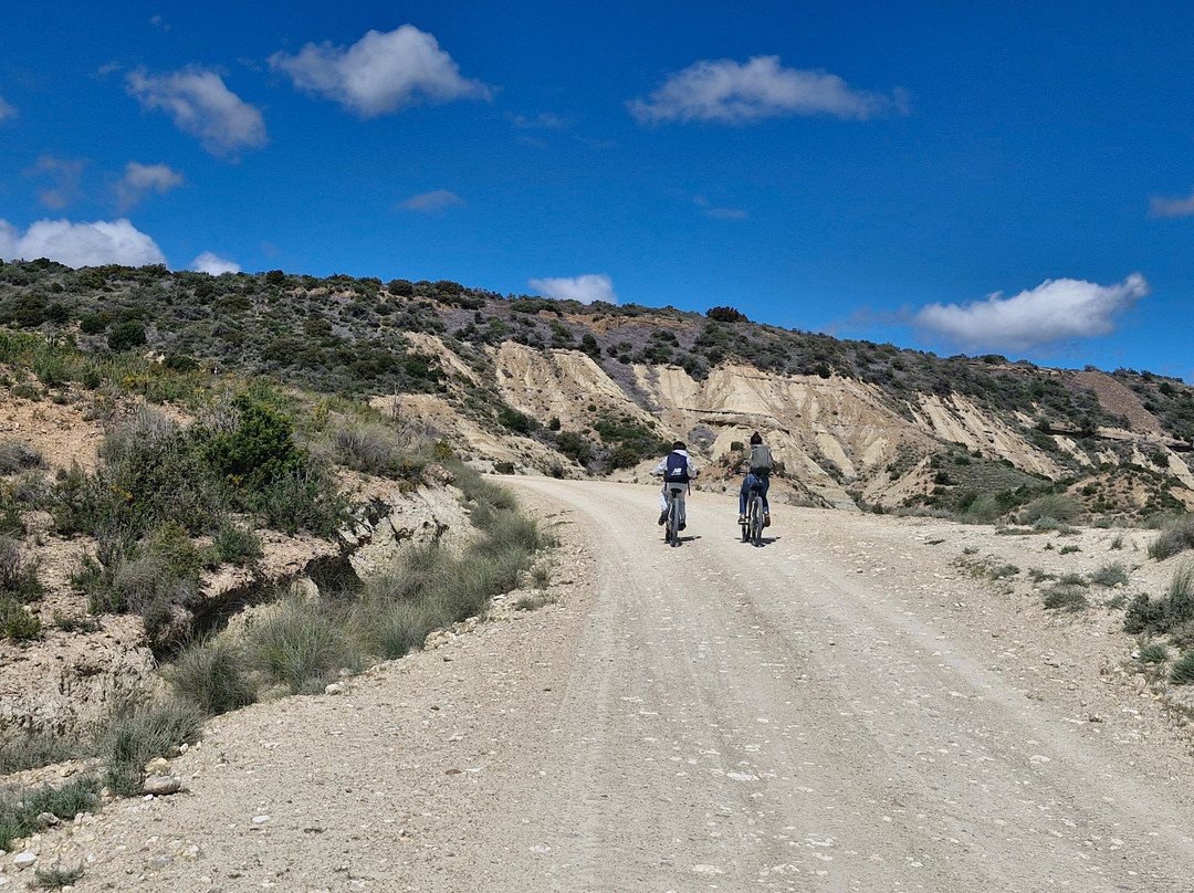 Bardenas Bike-Arguedas必去景点