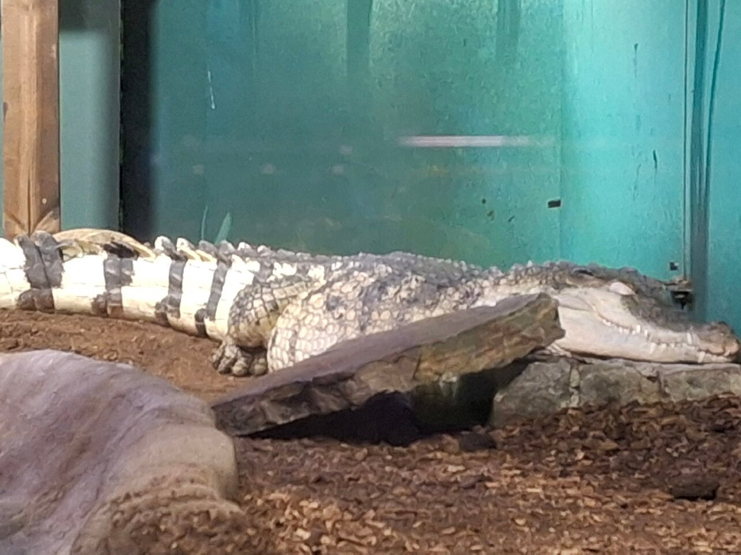 Bergen Aquarium-卑尔根必去景点