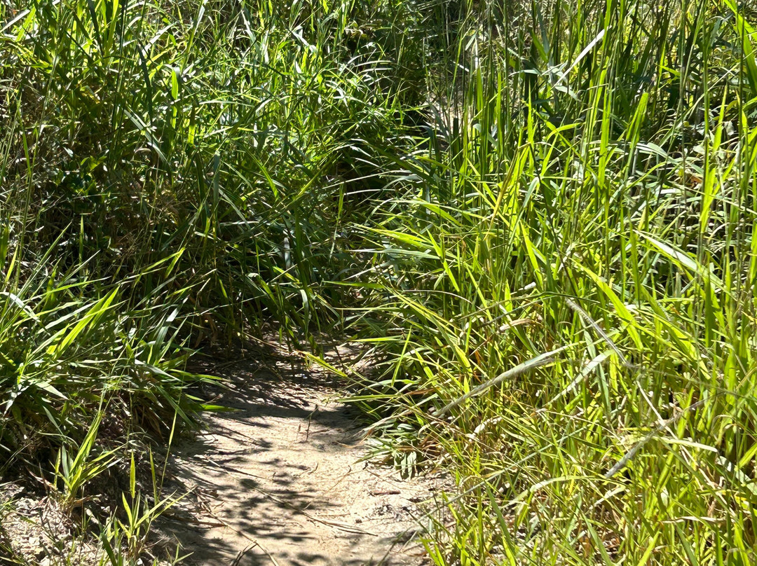 Cachoeira Eubiose-Sao Thome das Letras必去景点