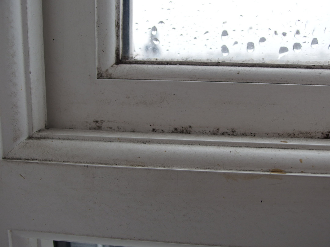 肯德尔湖区, 贝斯特韦斯特Sure精选酒店主图