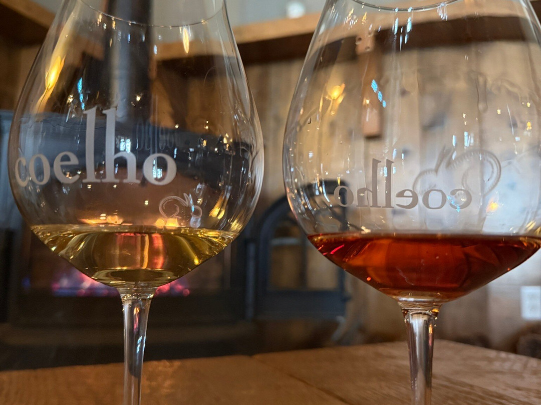 Coelho Winery-Amity必去景点