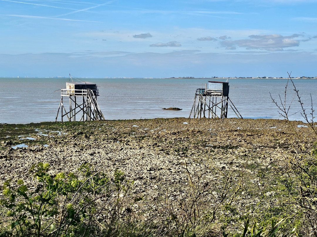 Ile Madame-Port-des-Barques必去景点