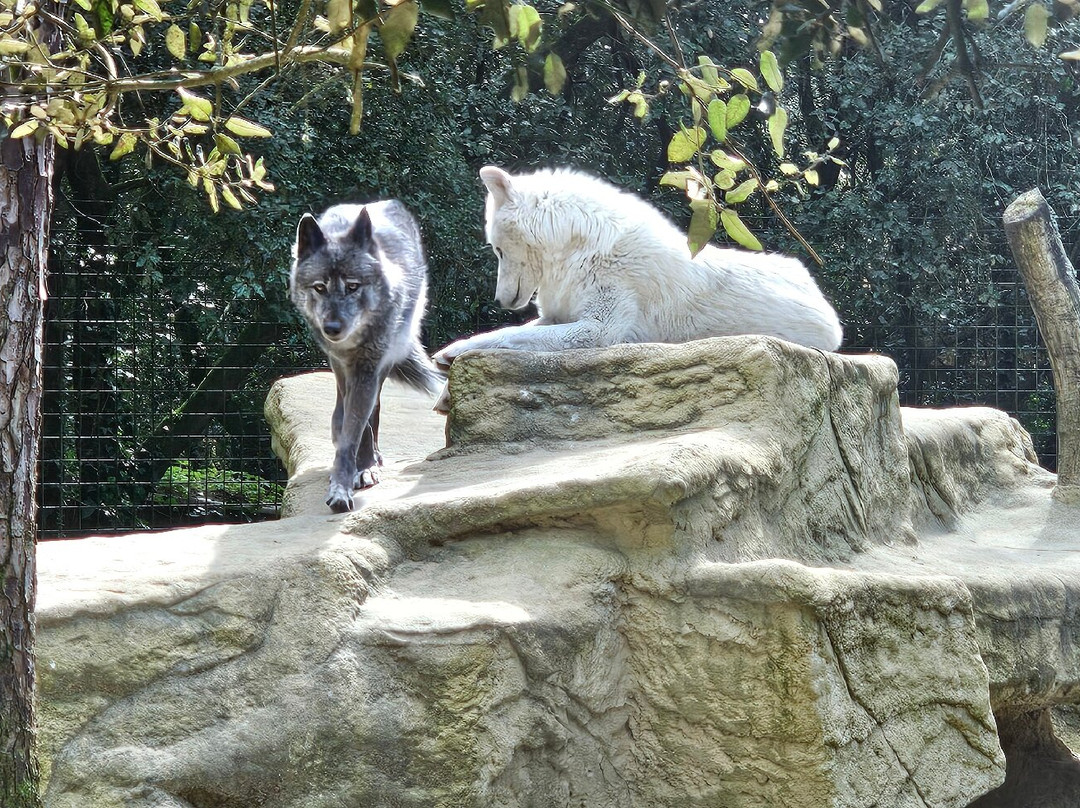 Zoo de La Palmyre-La Palmyre-Les Mathes必去景点
