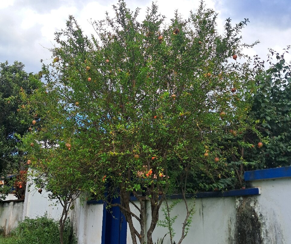 Vila do Biribiri-蒂阿曼蒂那城必去景点