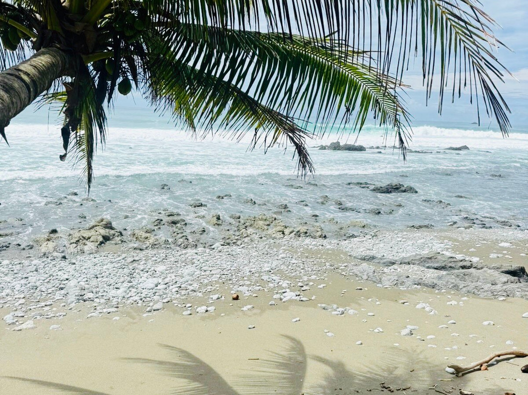 Bosque del Cabo Rain Forest Lodge主图