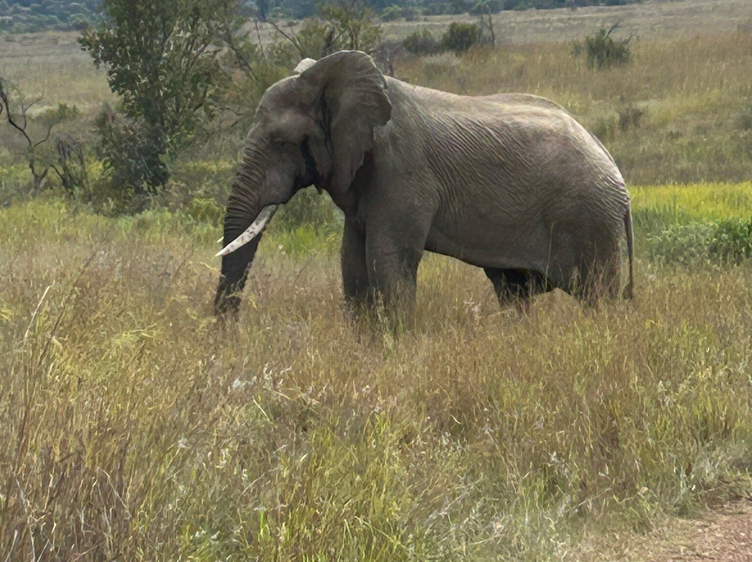 Kartula Marula Adventures-Steenbokpan必去景点